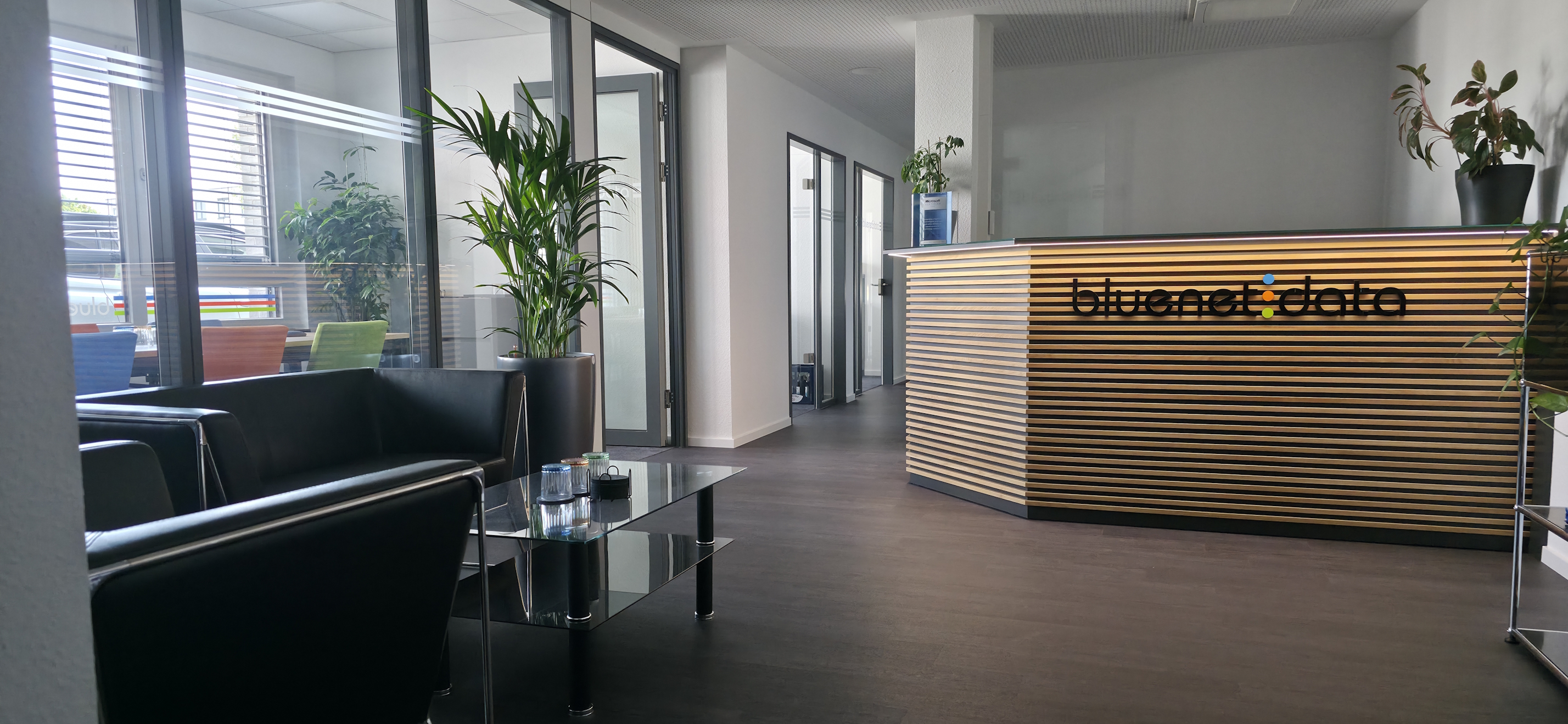 Arbeiten bei bluenetdata