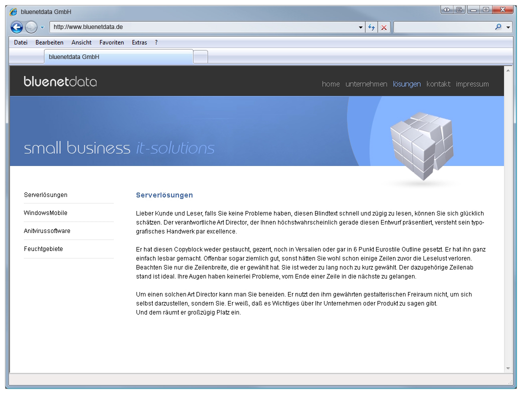 2008 - Neue Webseite von bluenetdata mit schlichtem Logo